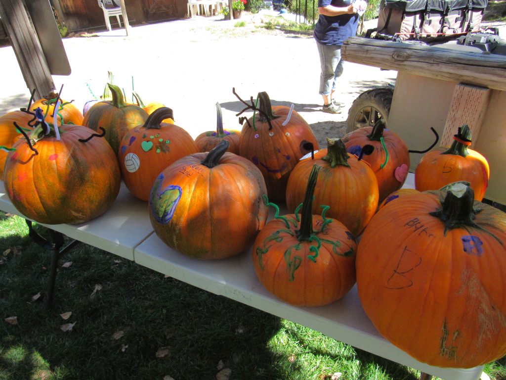 Artistic Pumpkins!